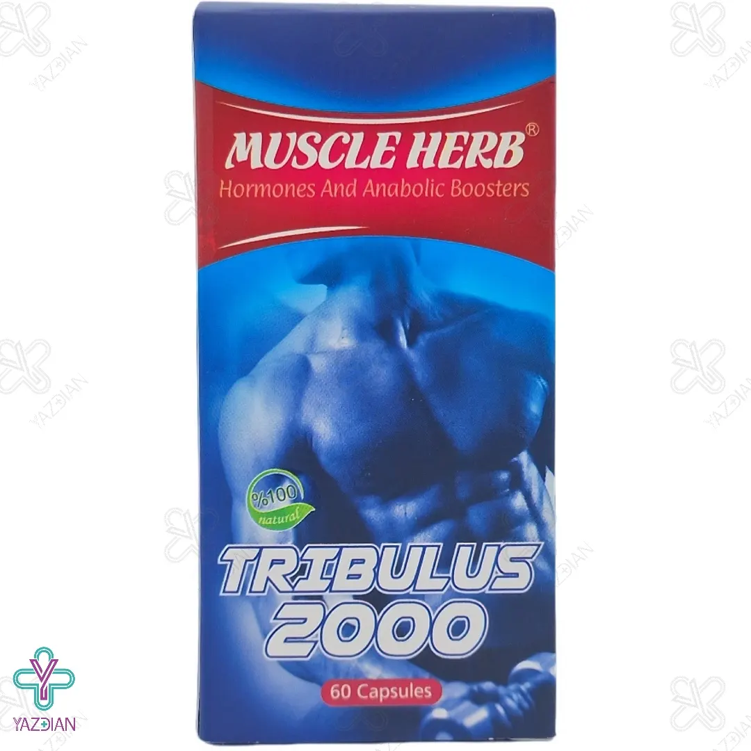 کپسول آقایان تریبولوس 2000 ماسل هرب بهتا دارو - 60 عددی