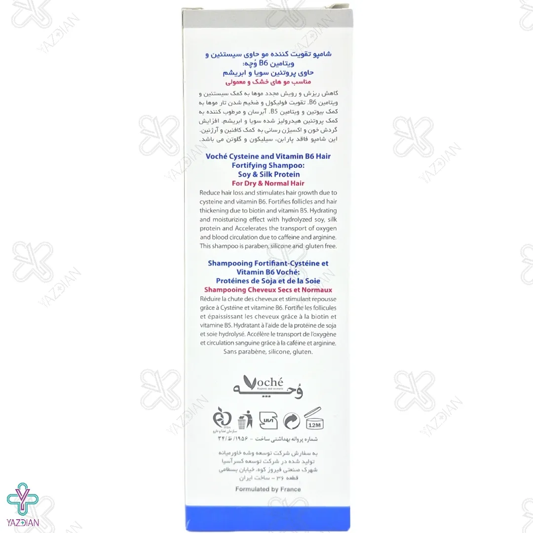 شامپو تقویت کننده سیستین B6 موهای خشک و معمولی وچه - 250 میلی لیتر 